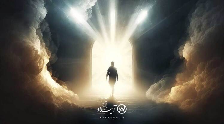 عدد، زبان فهم هستی